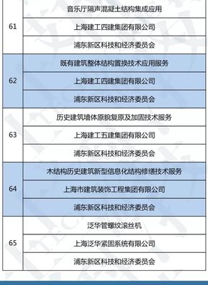 上海市高新技術成果轉化項目名單出爐，技術服務成創新引擎